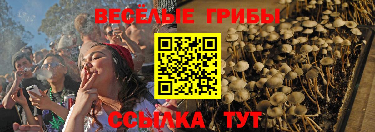 Псилоцибиновые грибы GOLDEN TEACHER Прокопьевск