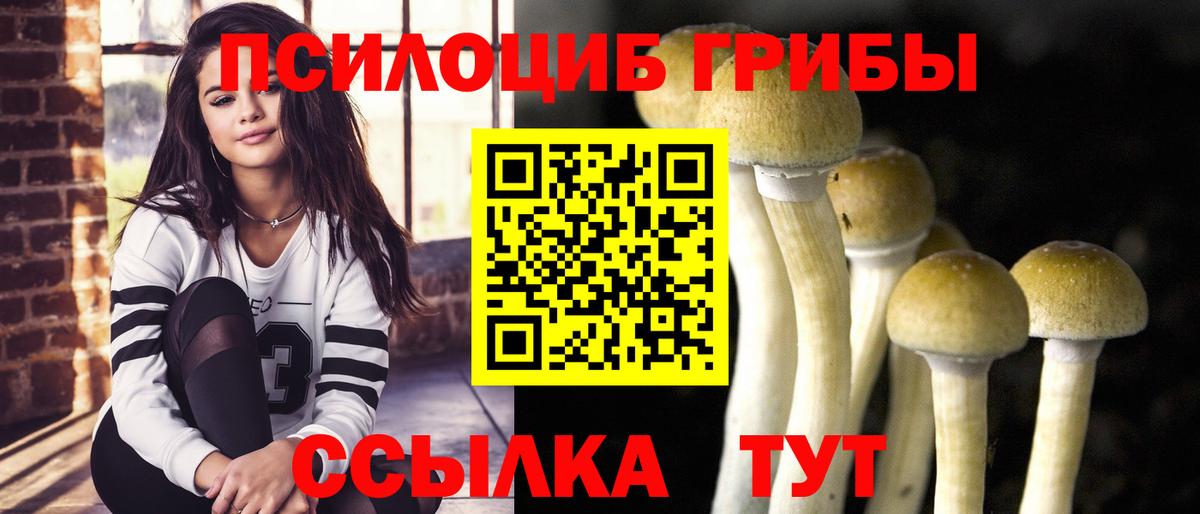 Псилоцибиновые грибы Psilocybe  Вход с VPN  где найти   Псилоцибиновые грибы Magic Shrooms  Прокопьевск 